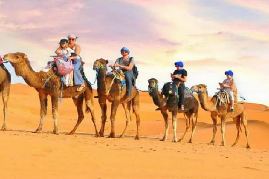 Tour de 3 días desde Fez a Marrakech a través del desierto