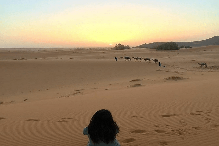 Tour de 3 días desde Fez a Marrakech a través del desierto