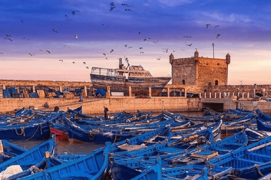Tour de 10 días desde Tánger al desierto