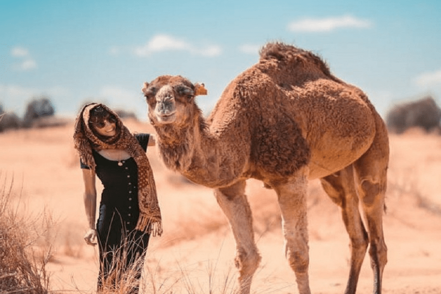 Tour de 3 días desde Ouarzazate a Merzouga y Zagora