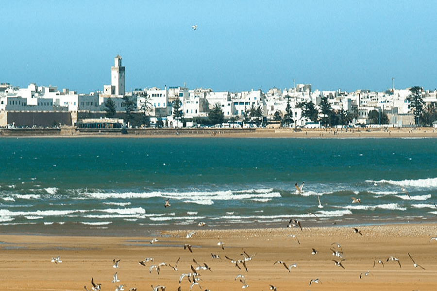 Excursión de Marrakech a Essaouira