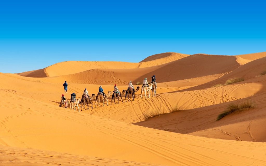 Migliore Tour di 3 giorni da Fes a Marrakech