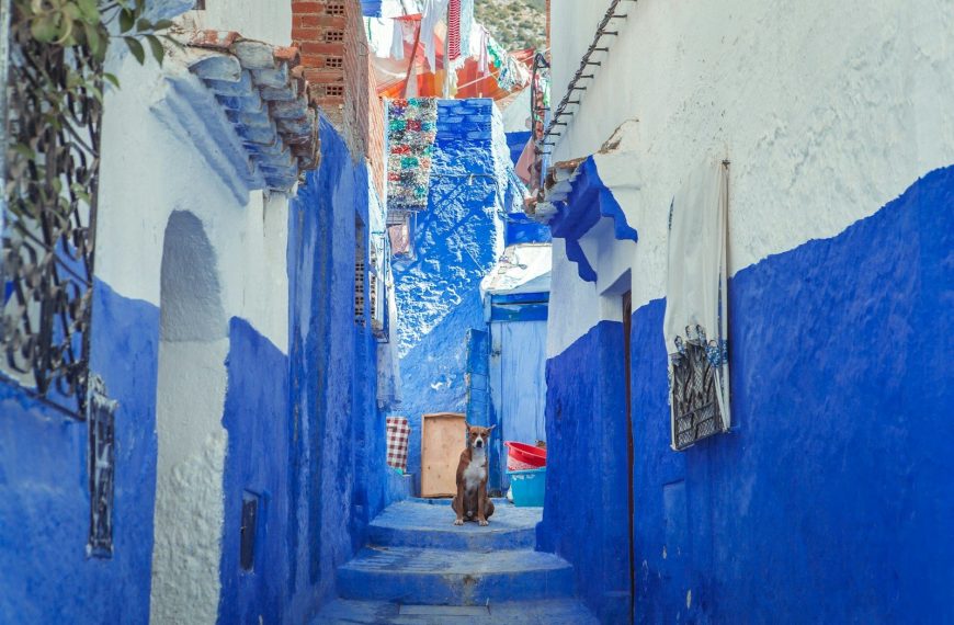 9 giorni da Casablanca al deserto