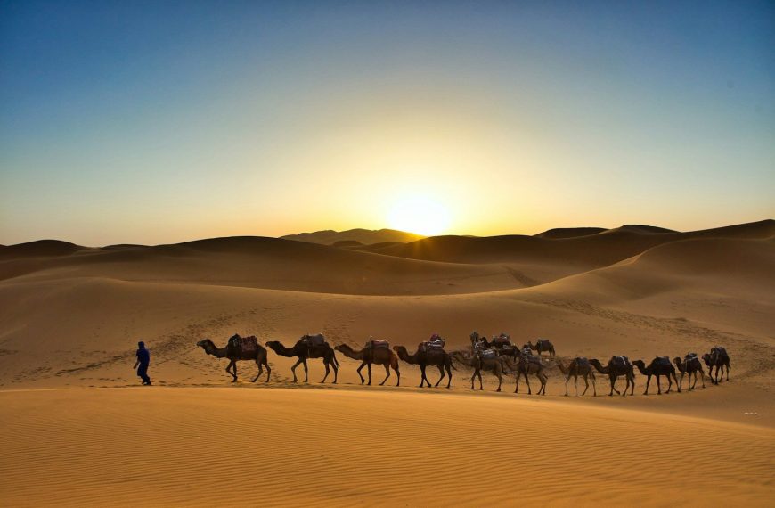 A group of camels walking across a desert, 11 giorni da Marrakech a Chefchaouen attraverso il deserto