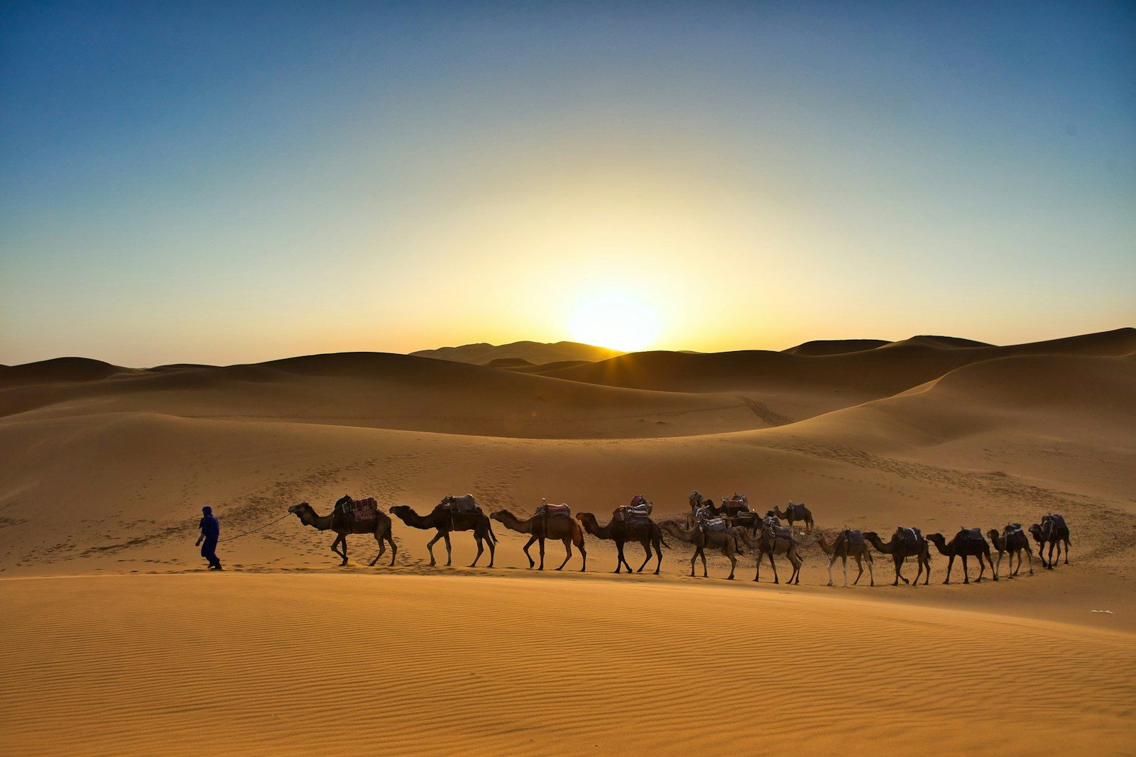 A group of camels walking across a desert, 11 giorni da Marrakech a Chefchaouen attraverso il deserto
