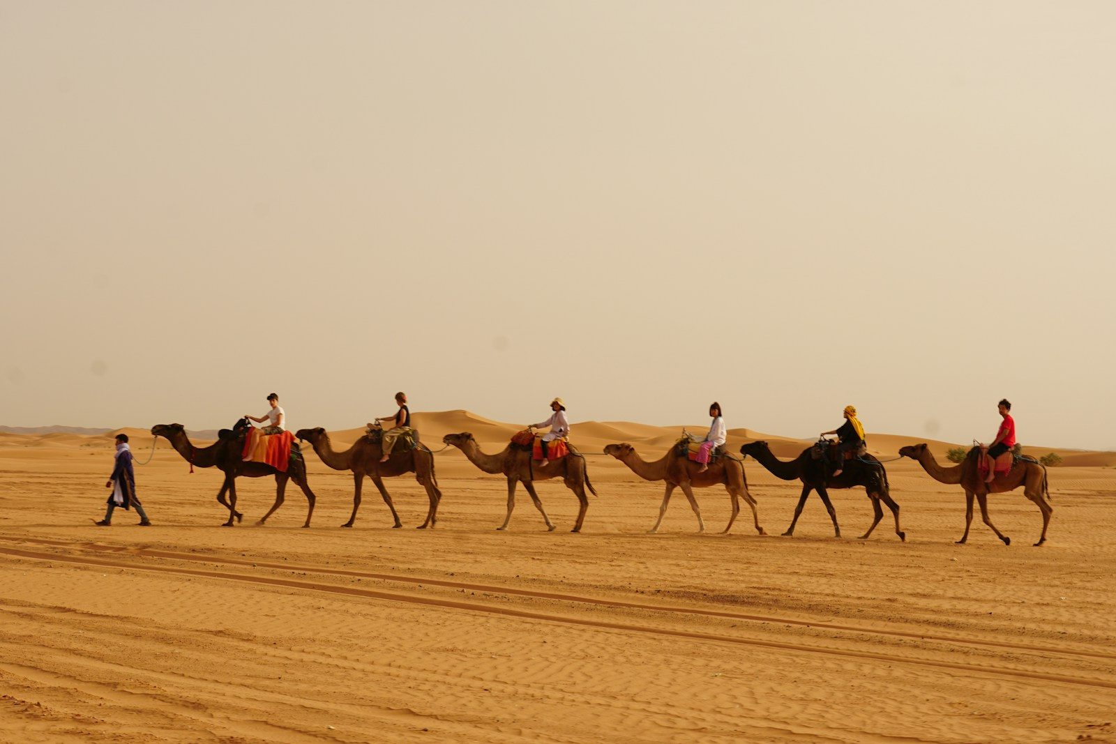 5 giorni da Marrakech al deserto di Merzouga e Zagora, 5 días desde Marrakech al desierto de Merzouga y Zagora