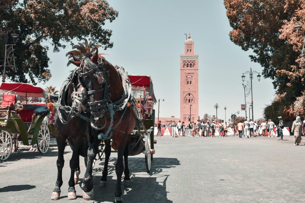 Tour di 7 giorni da Tangeri a Marrakech