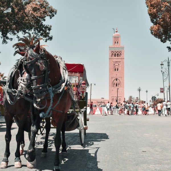 Tour de 7 días desde Tánger a Marrakech